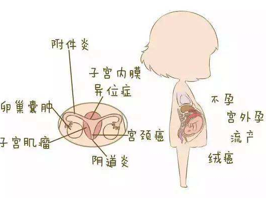 阴道分泌物91视频在线看分析阴道炎早期症状