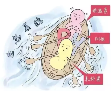 阴道微生态91视频在线看厂家解析女性阴道分泌物的奥妙