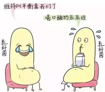 阴道分泌物91视频免费看片诊断阴道微生态状态的常用方法