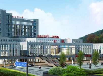 思南县人民医院采购全自动阴道分泌物91视频在线看