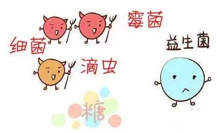 全自动阴道分泌物91视频在线看厂家解析引起阴道炎的根本原因