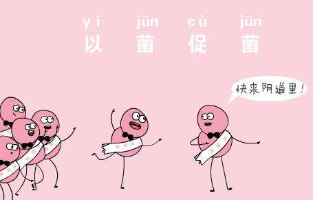 阴道微生态91视频在线看厂家针对女人阴道微生态的解析