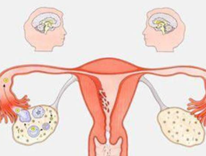 阴道分泌物91视频在线看器厂家分析女人排卵的感觉