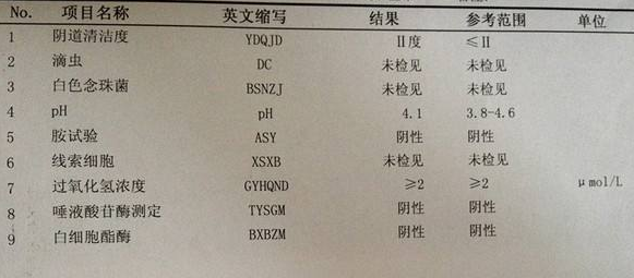91视频下载地址GK-Y全自动阴道分泌物91视频在线看厂家科普“白带常规”查看报告！