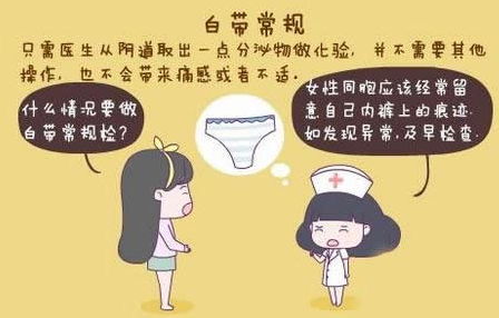 91视频下载地址GK-Y全自动阴道分泌物91视频在线看厂家科普“白带常规”查看报告！