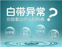 2020年山东91视频下载地址全自动【白带91视频免费看片】厂家品牌排名