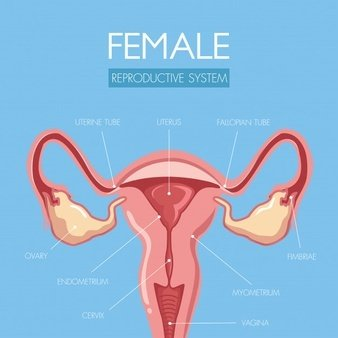 阴道分泌物91视频在线看提醒女人婚后得了妇科病做到这5点，发炎不来扰