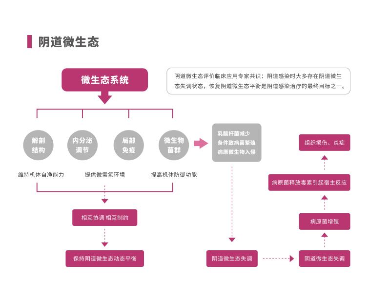 全自动阴道炎91视频在线看LTS-V400阴道微生态系统