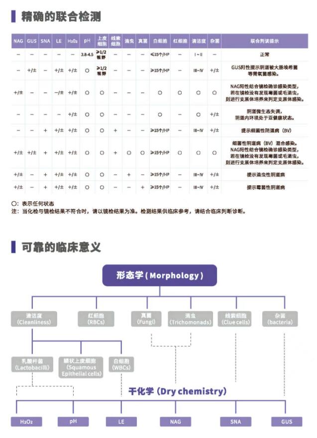 阴道分泌物91视频免费看片V800精确的联合检测