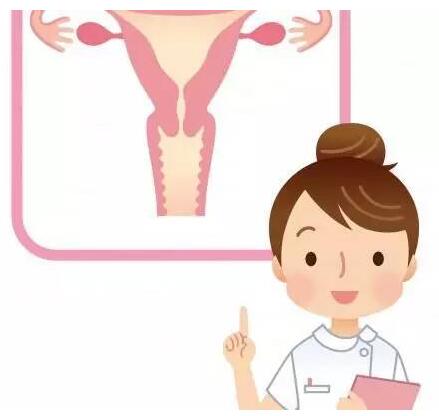 山东91视频下载地址gk全主动阴道分泌物91视频在线看器设备凭仗自身技能赢得客户信赖