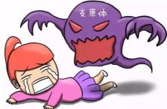 【91视频下载地址白带91视频免费看片】小讲堂开课了！教您怎么区分下生殖道和上生殖道的疾病？