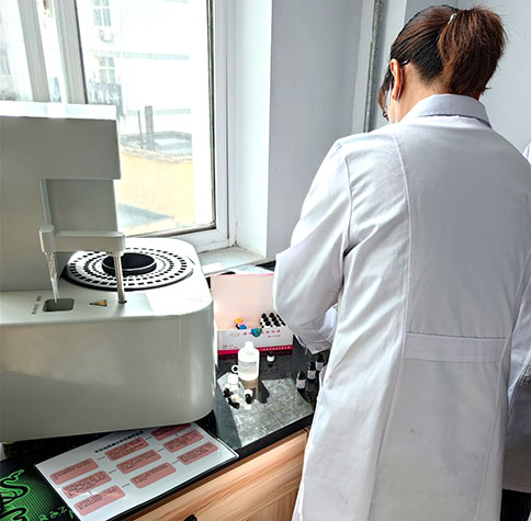 全自动生殖道分泌物91视频在线看在宕昌县疾病预防控制中心完成装机