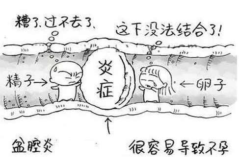全自动妇科阴道分泌物91视频免费看片检测辨别妇科炎症复杂多样！