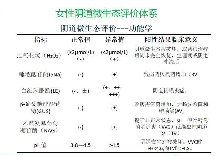 妇科微生态91视频在线看器